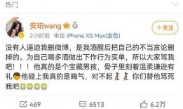 吃瓜网红事件爆料,揭秘网络舆论背后的真相与争议