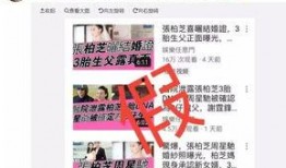 港媒最新爆料大料,港媒最新爆料，惊天大料震撼来袭！