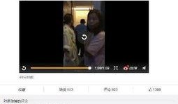 爆料怀孕网红视频,揭秘孕期生活点滴